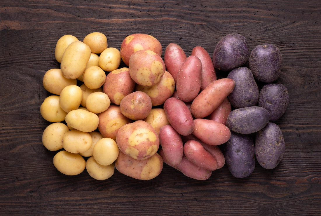 Popover's Guide to Mashed Potatoes
