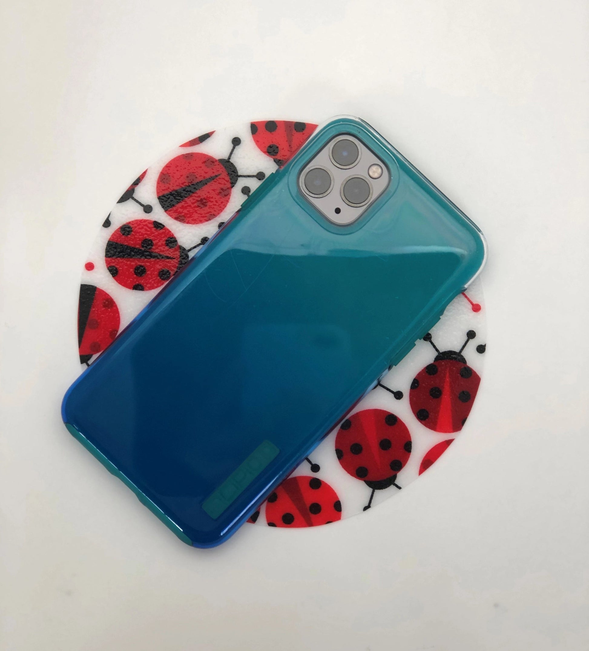 Andreas Jar Opener: Diddle Bug