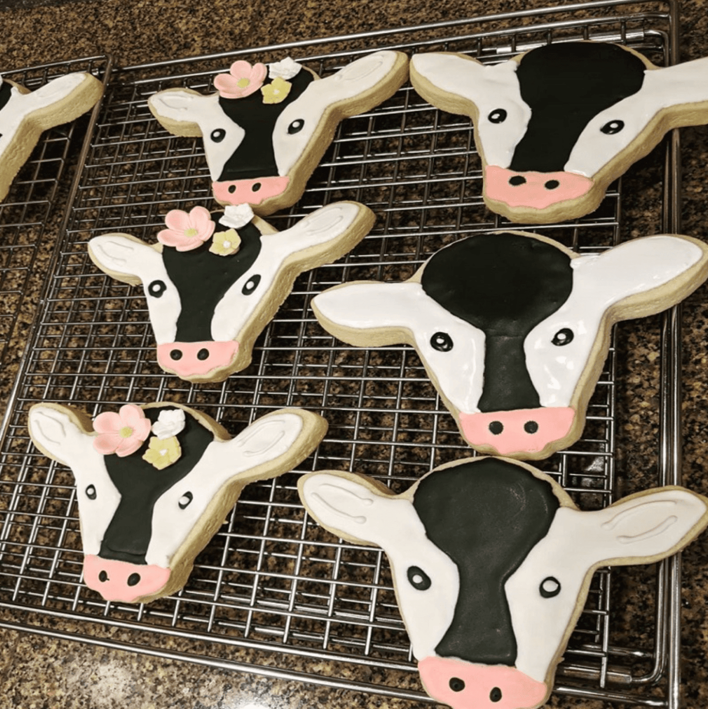 Ann Clark Cookie Cutter: Cow Face