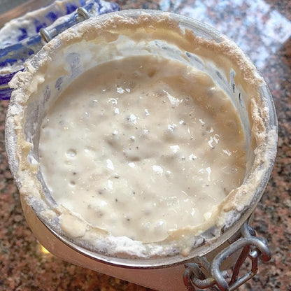 Breadtopia Dehydrated Sourdough Starter