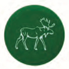 Capabunga Wine Cap: Moose