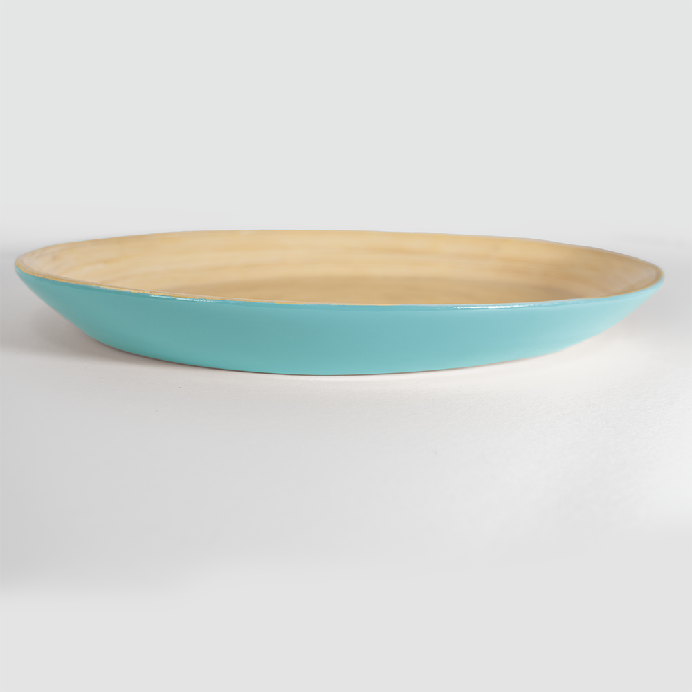 Caytre Living Oval Serving Tray: Turquoise