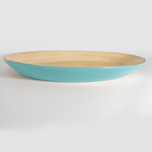 Caytre Living Oval Serving Tray: Turquoise