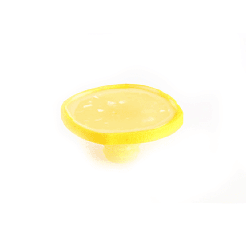 Charles Viancin Wine Stoppers: Citrus