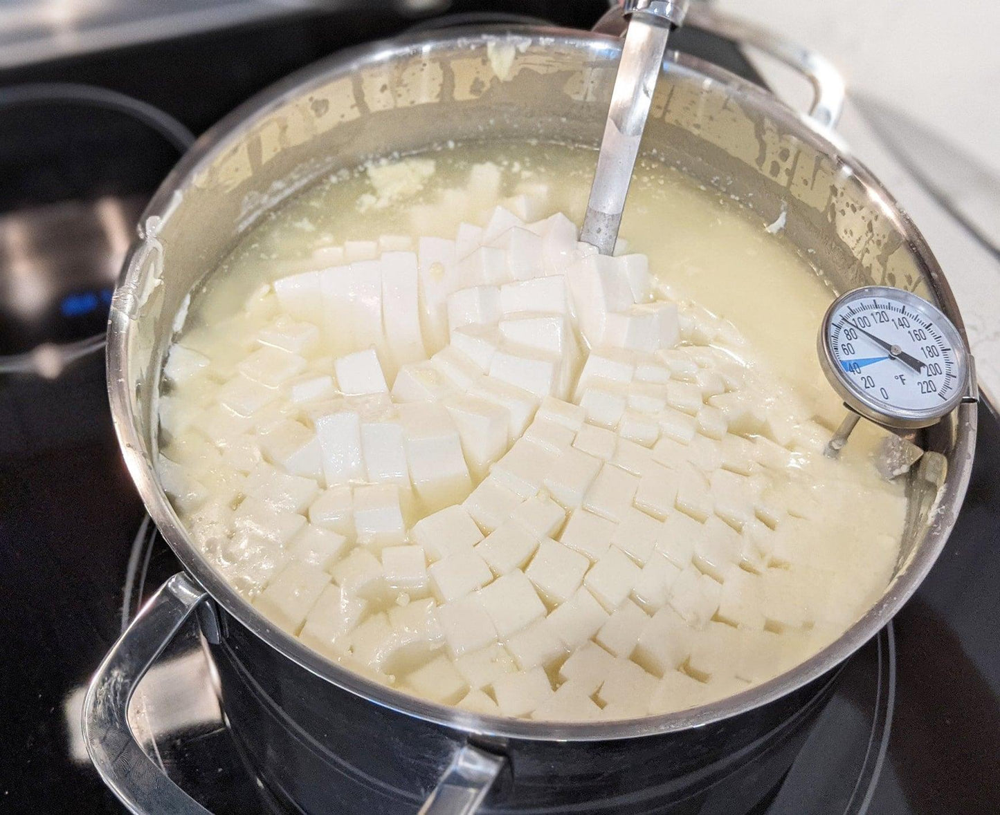 FarmHouse Cheddar Cheesemaking Kit