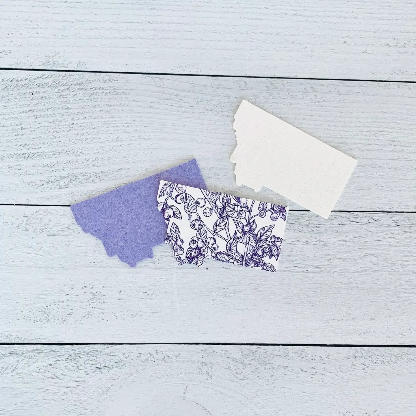 Corvidae Compostable Pop-Up Sponges (Set of 3): Montana Shaped, Huckleberry