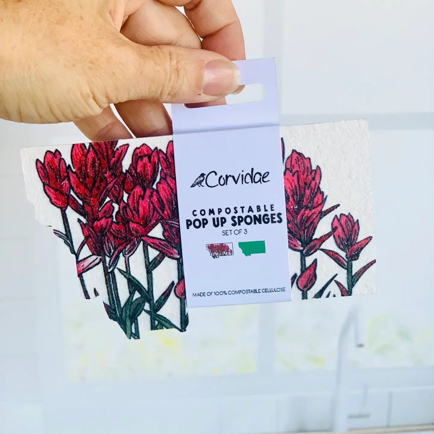 Corvidae Compostable Pop-Up Sponges (Set of 3): Montana Shaped, Paintbrush