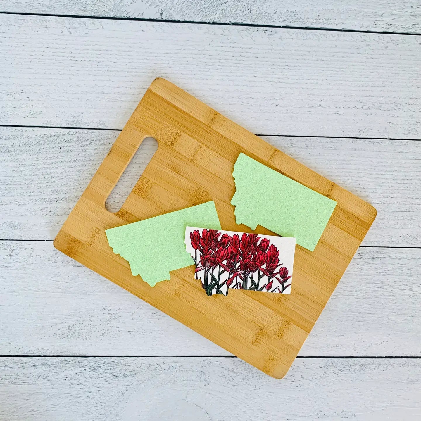 Corvidae Compostable Pop-Up Sponges (Set of 3): Montana Shaped, Paintbrush