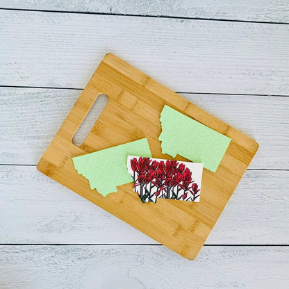 Corvidae Compostable Pop-Up Sponges (Set of 3): Montana Shaped, Paintbrush