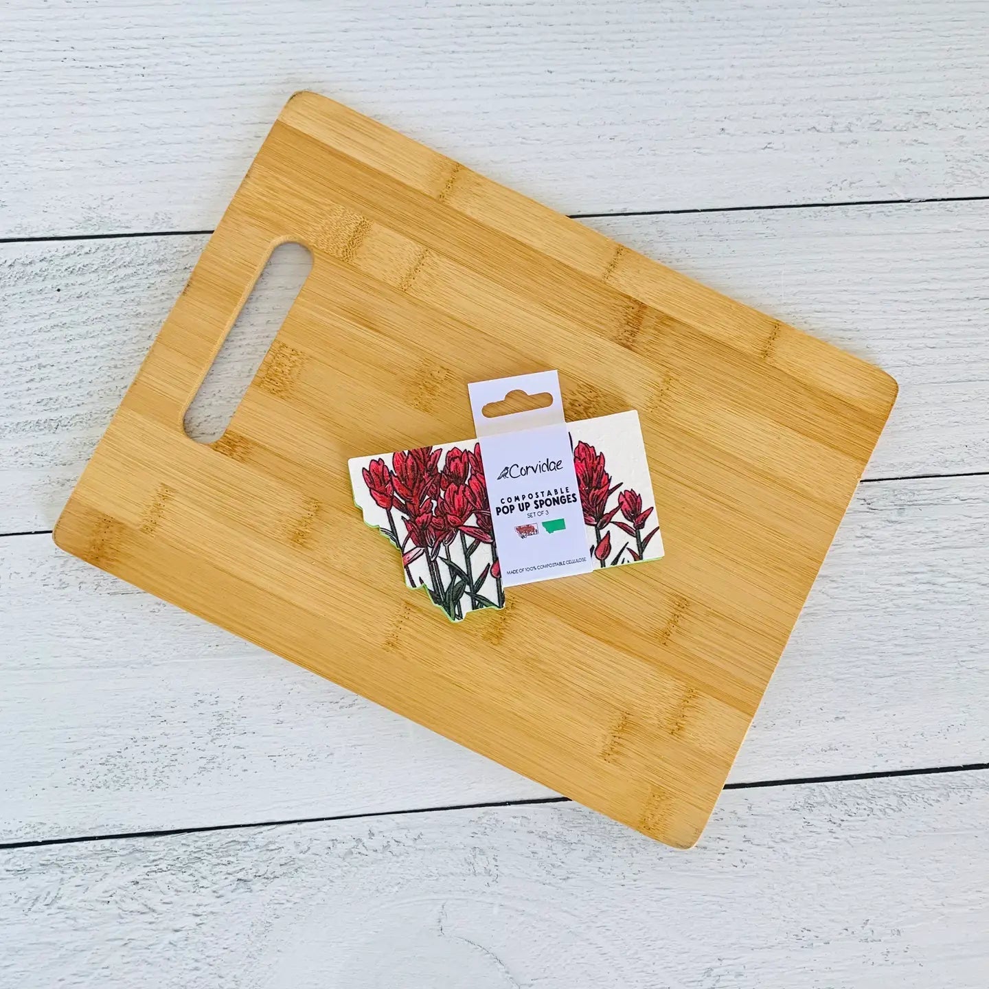 Corvidae Compostable Pop-Up Sponges (Set of 3): Montana Shaped, Paintbrush
