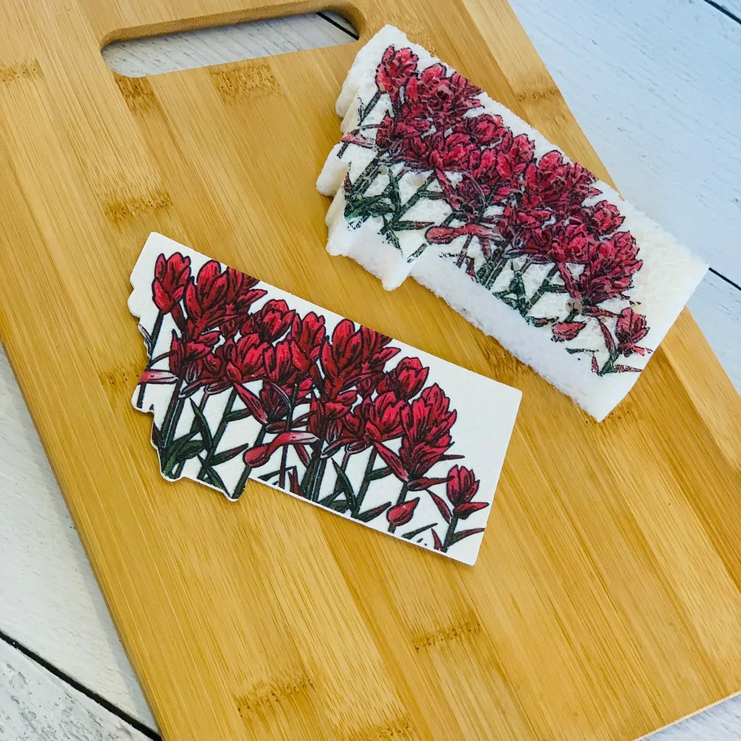 Corvidae Compostable Pop-Up Sponges (Set of 3): Montana Shaped, Paintbrush