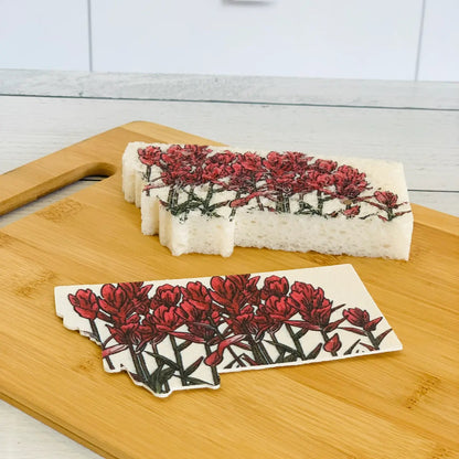 Corvidae Compostable Pop-Up Sponges (Set of 3): Montana Shaped, Paintbrush