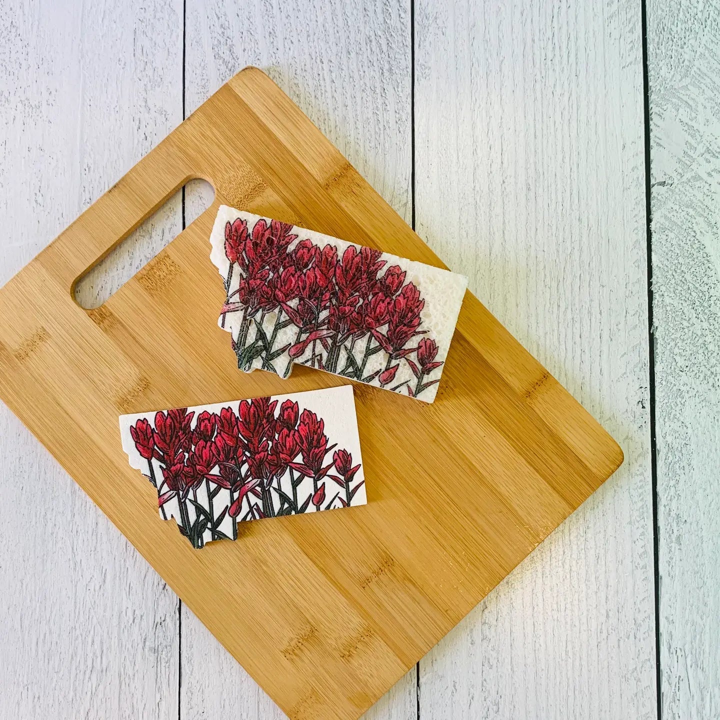 Corvidae Compostable Pop-Up Sponges (Set of 3): Montana Shaped, Paintbrush