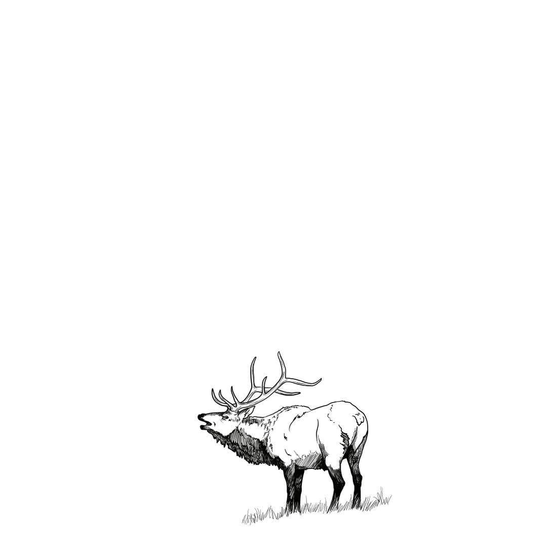 Corvidae Tea Towel: Elk