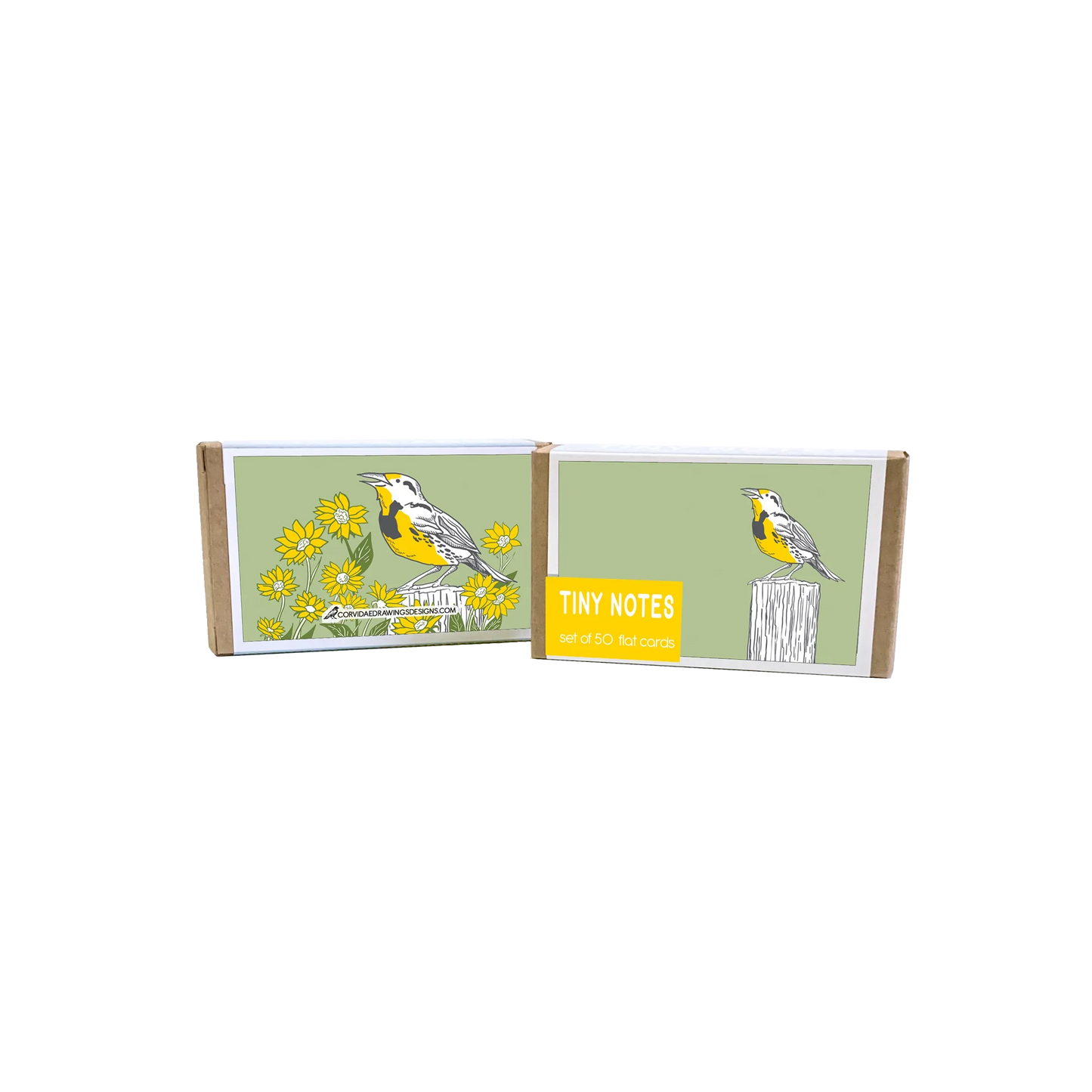 Corvidae Tiny Notes: Meadowlark