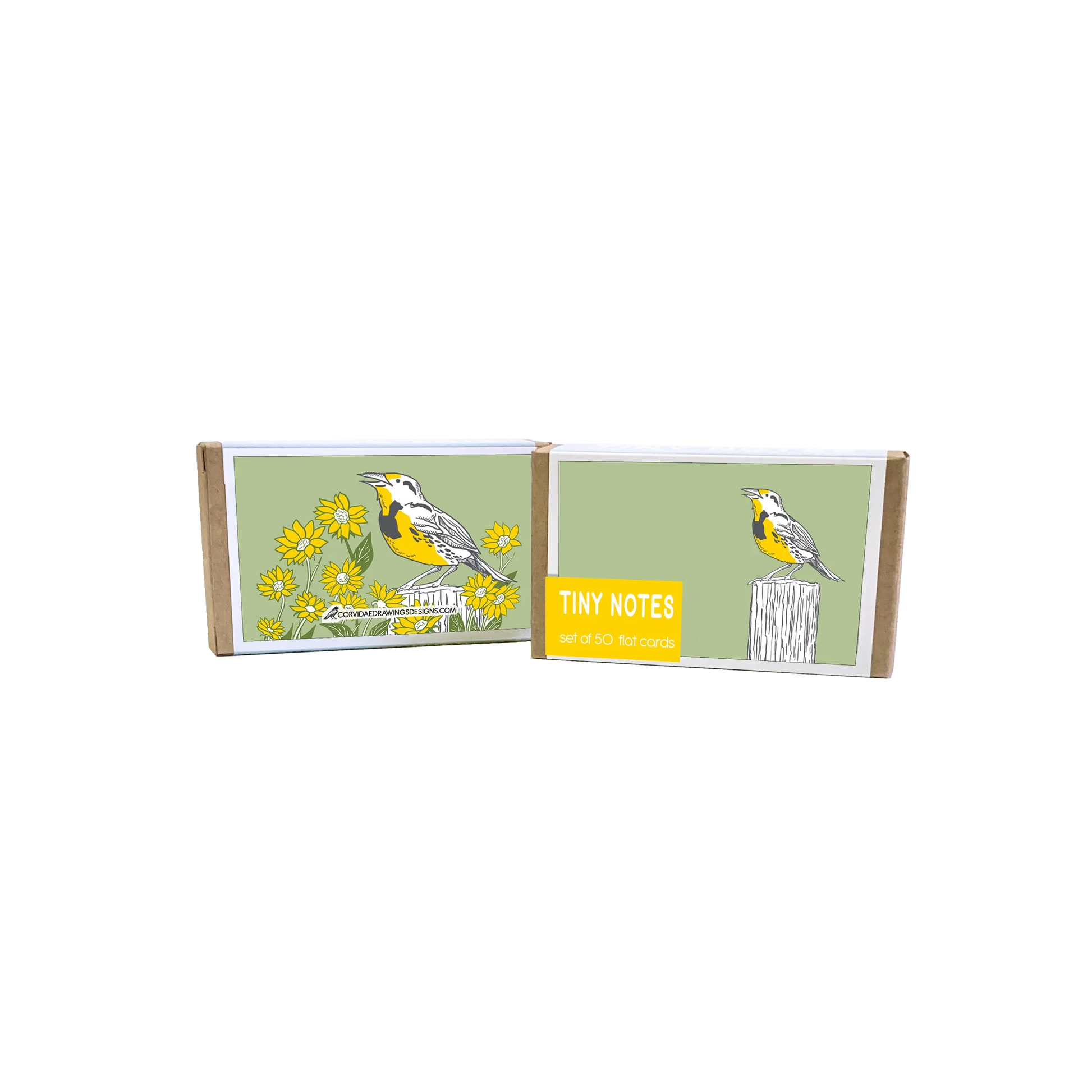 Corvidae Tiny Notes: Meadowlark