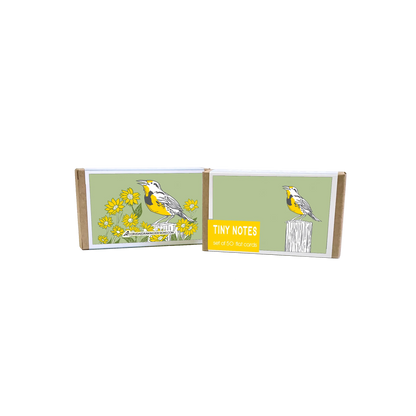 Corvidae Tiny Notes: Meadowlark