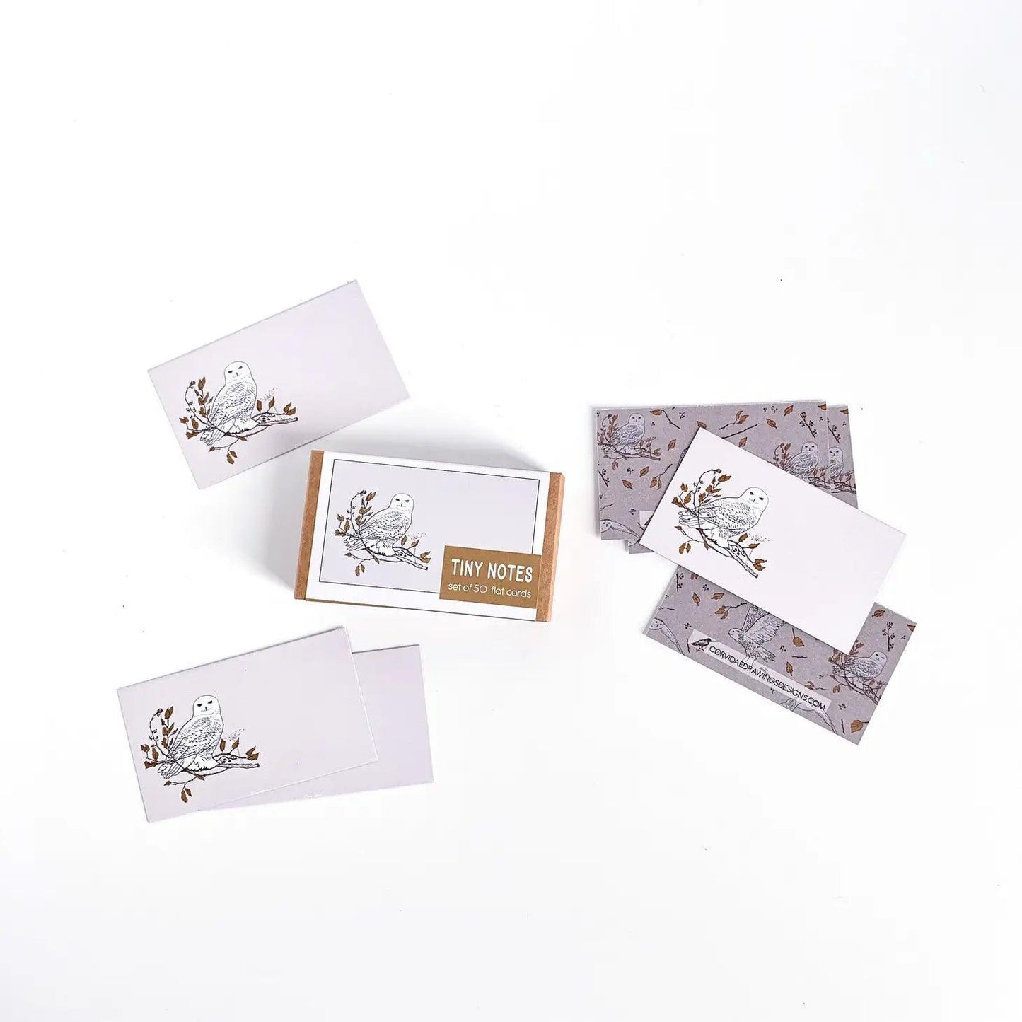 Corvidae Tiny Notes: Snowy Owl