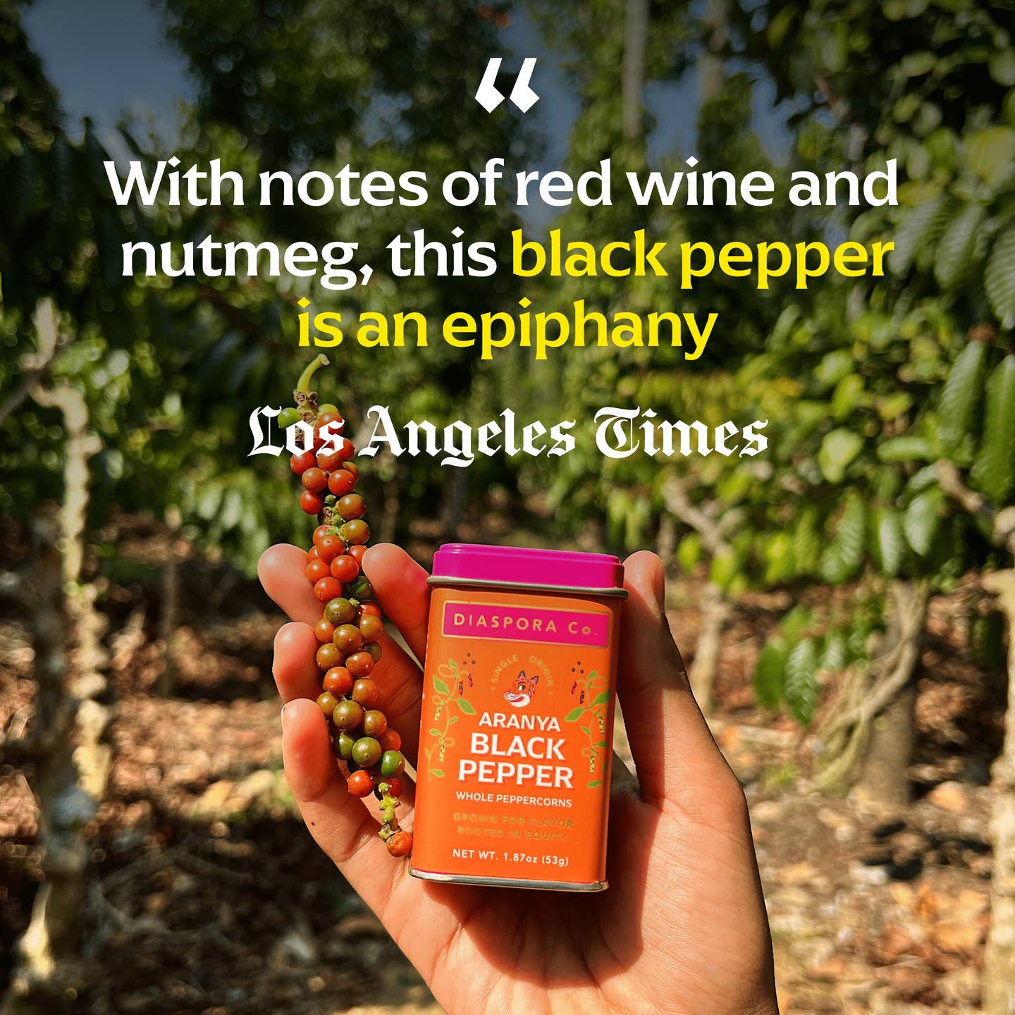 Diaspora Co. Aranya Peppercorns