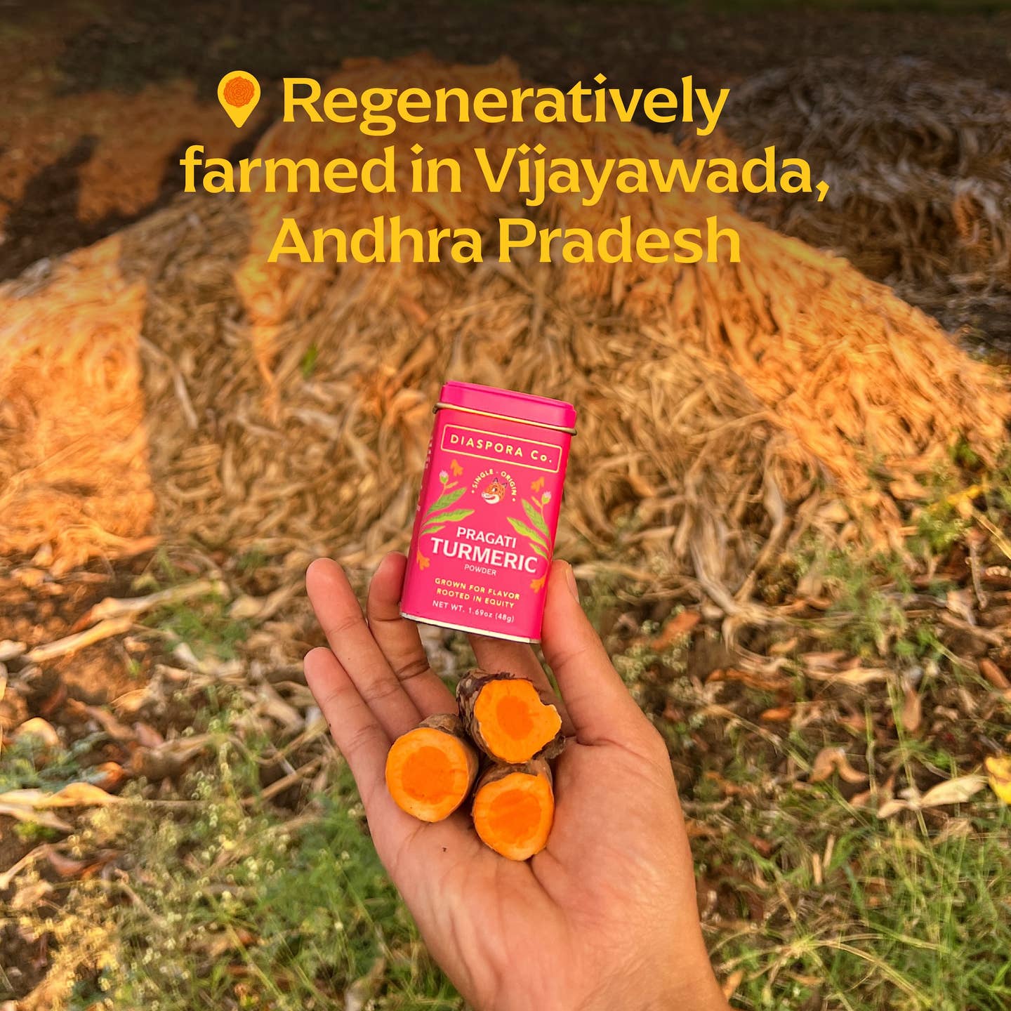 Diaspora Co. Pragati Turmeric