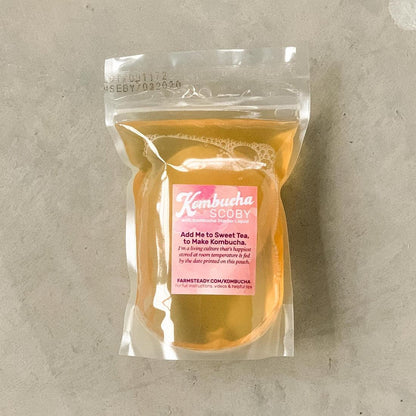 FarmSteady Kombucha Making Kit