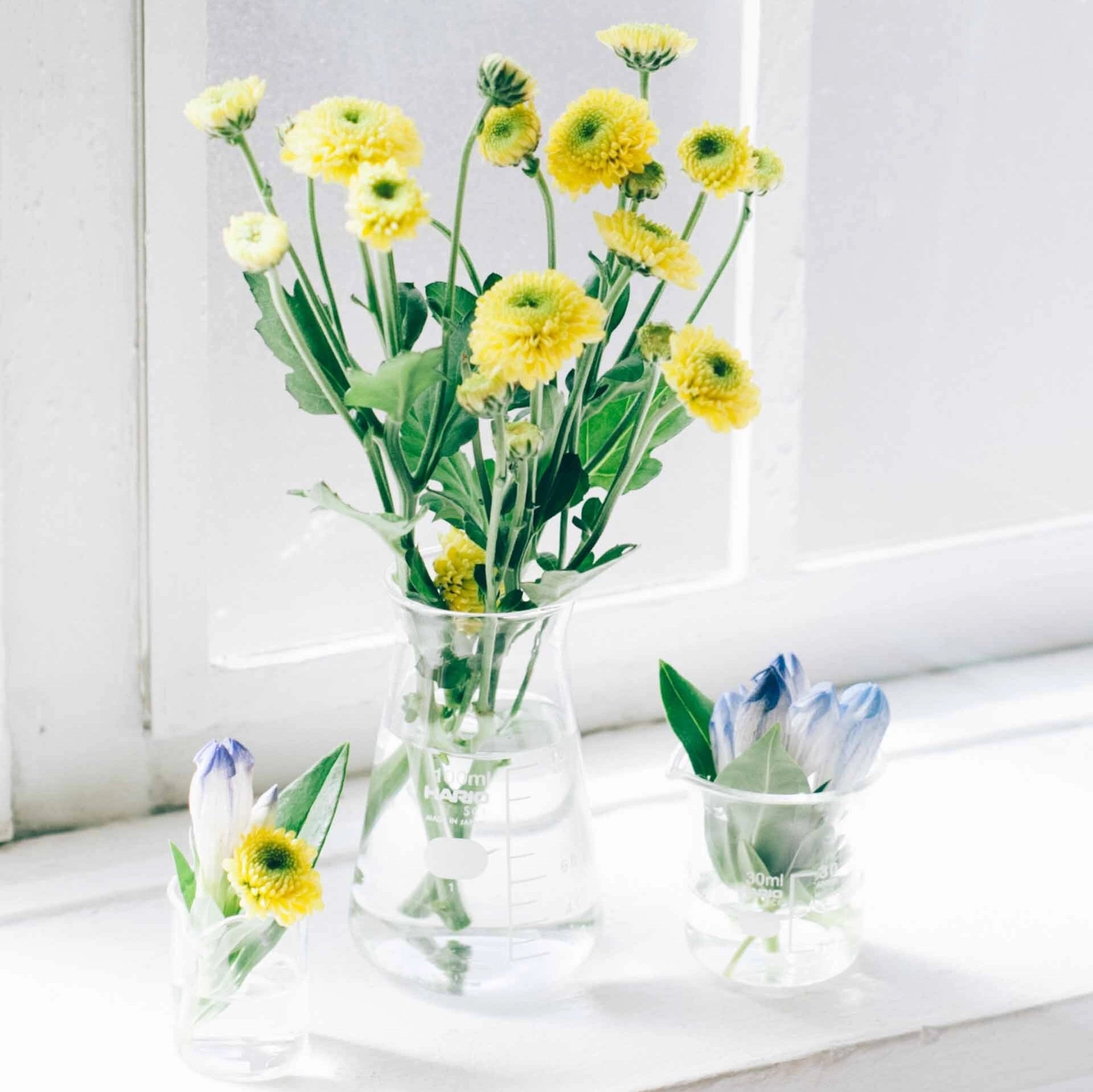 Hario Conical Beaker: 100 mL