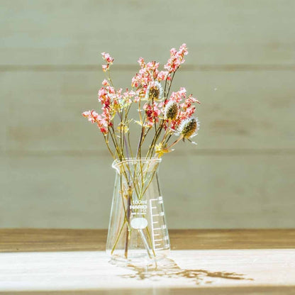 Hario Conical Beaker: 100 mL