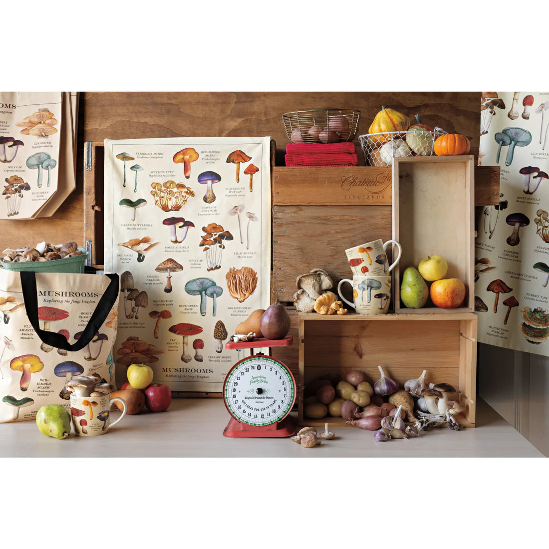 NOW Designs Dishtowel: Mushrooms Fine Print