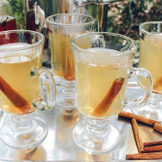 Oliver Pluff & Co Lemon Ginger Hot Toddy - 1 Gallon Package