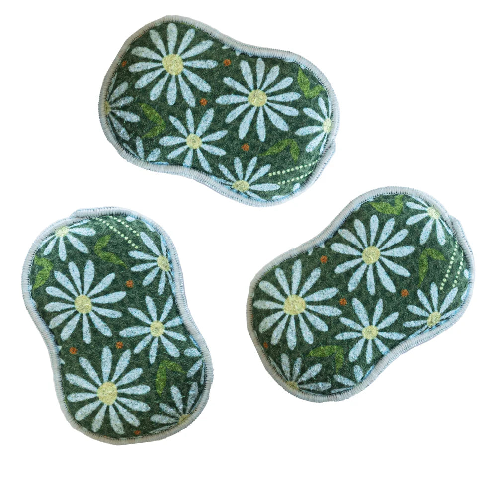 Once Again Home Sponges (Set of 3): RJW First Light