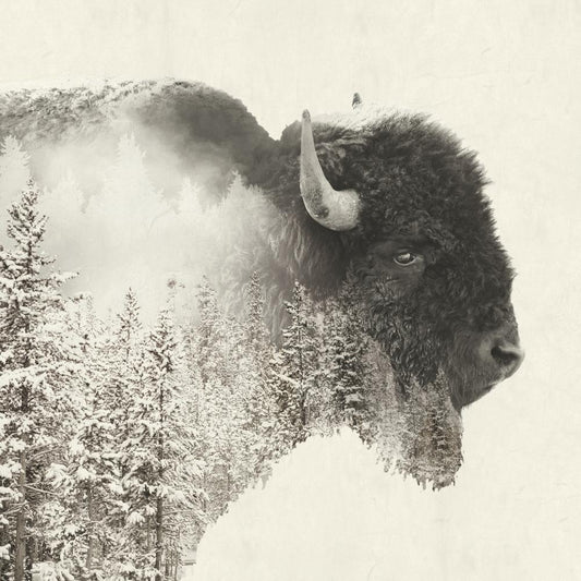 Paperproduct Designs Cocktail Napkins: Majestic Buffalo