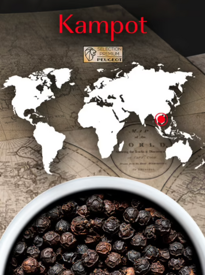 Peugeot Black Pepper: Kampot
