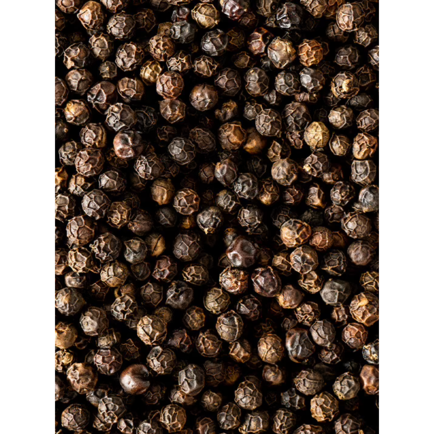 Peugeot Black Pepper: Kampot