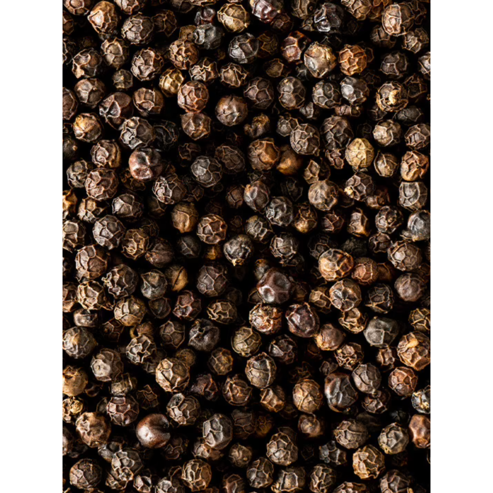 Peugeot Black Pepper: Kampot