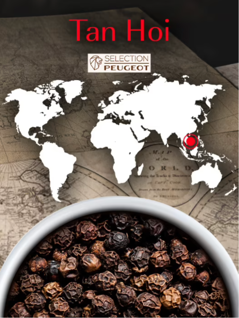 Peugeot Black Pepper: Tan Hoi