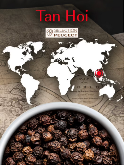 Peugeot Black Pepper: Tan Hoi