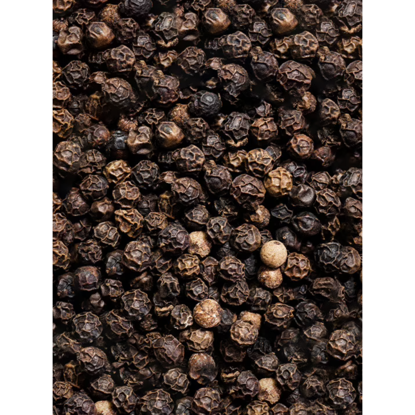 Peugeot Black Pepper: Tan Hoi