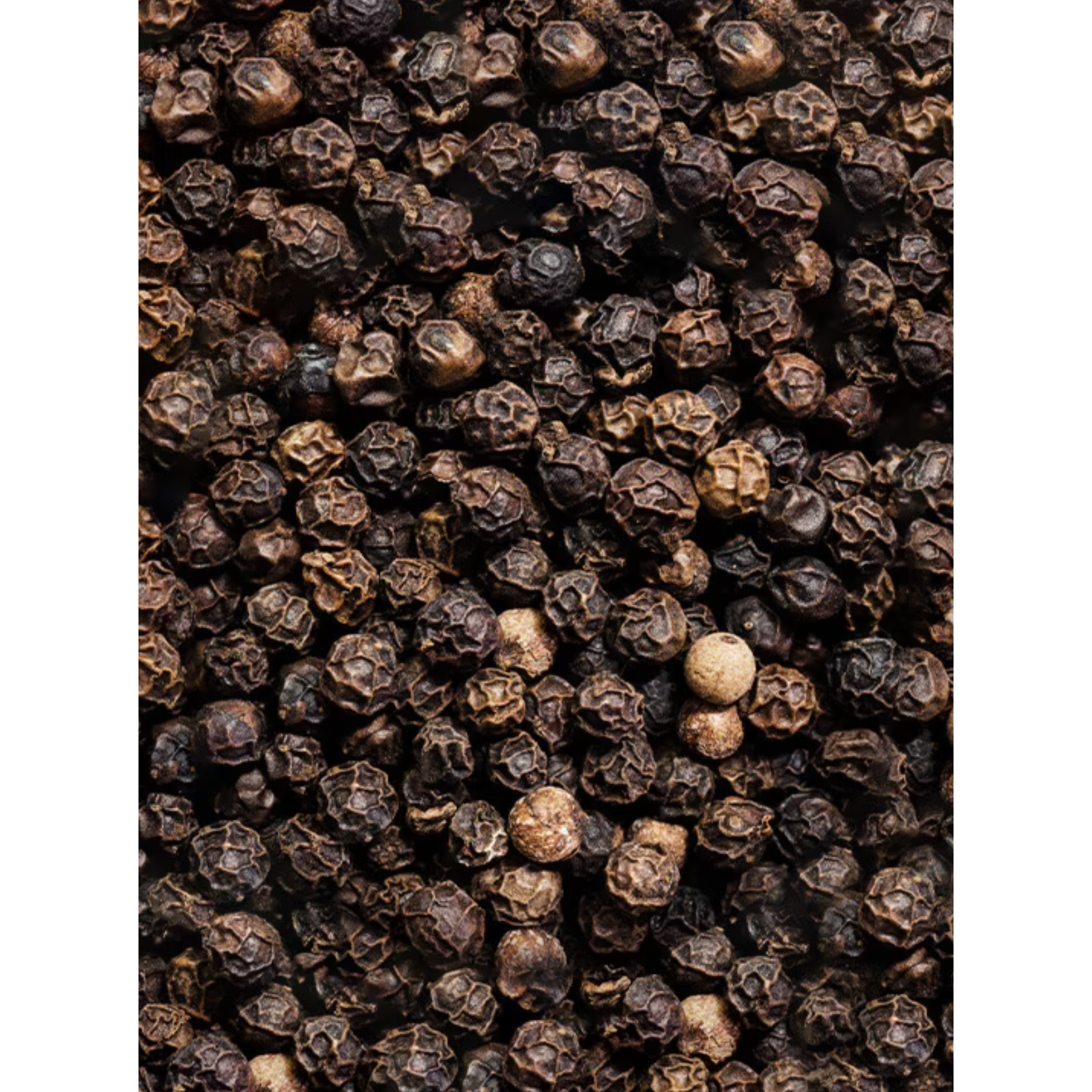 Peugeot Black Pepper: Tan Hoi