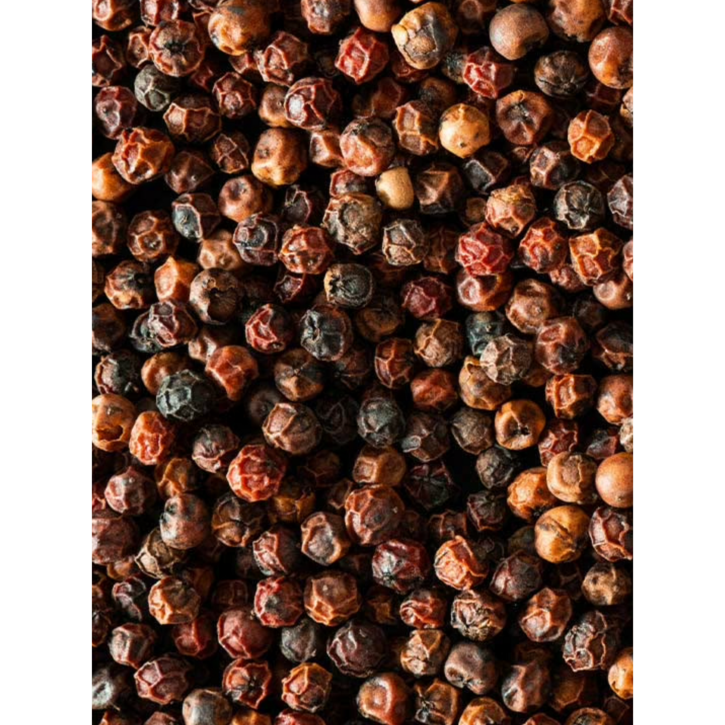 Peugeot Red Pepper: Kampot