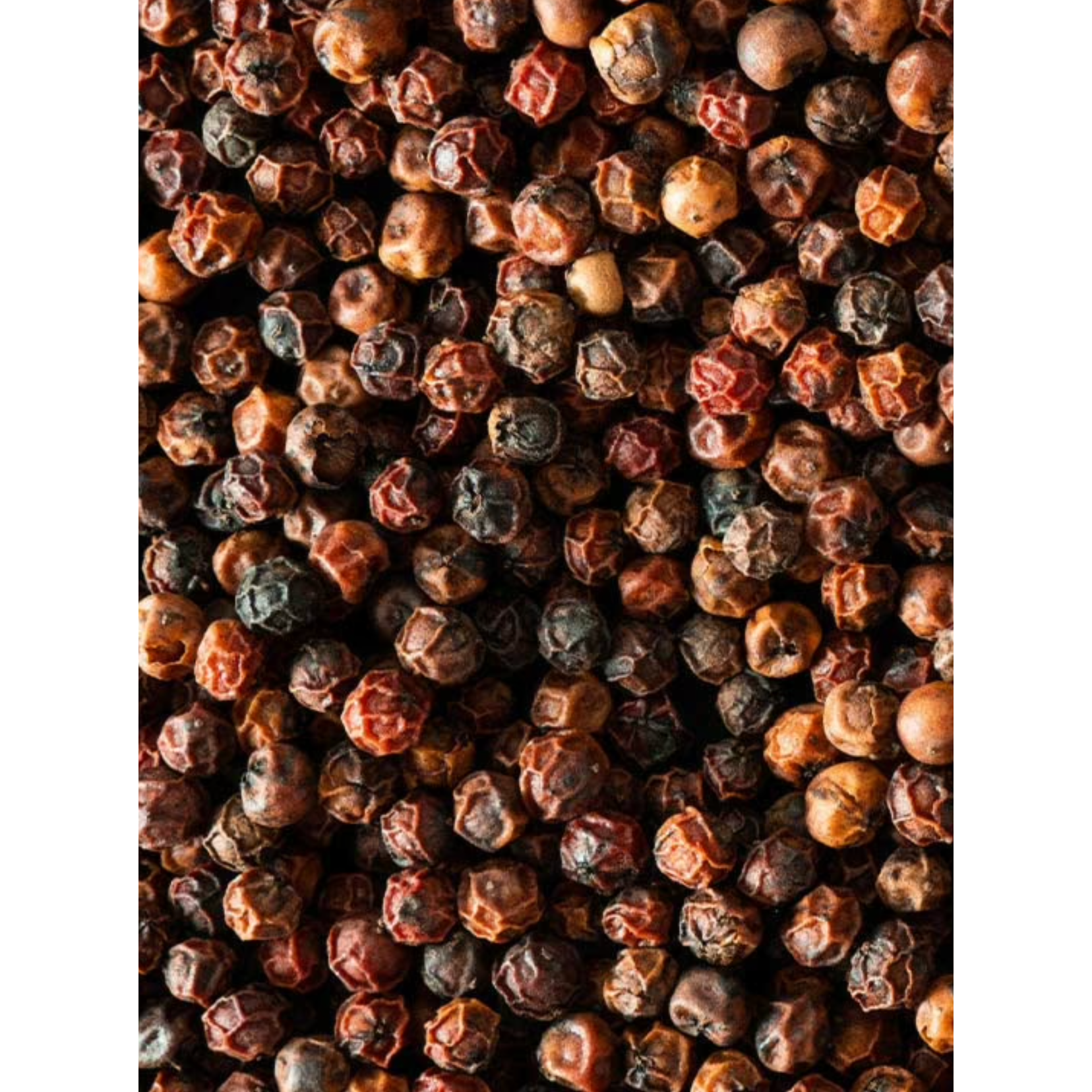 Peugeot Red Pepper: Kampot