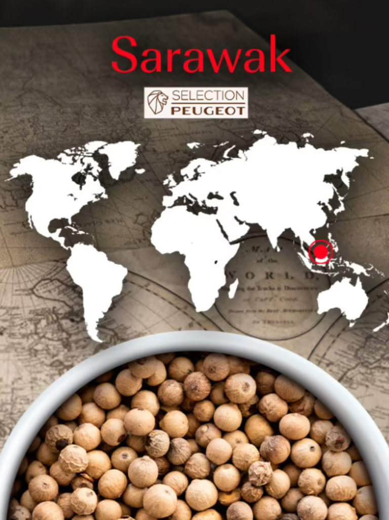 Peugeot White Pepper: Sarawak