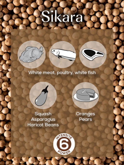 Peugeot White Pepper: Sikara
