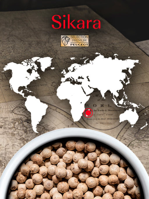 Peugeot White Pepper: Sikara