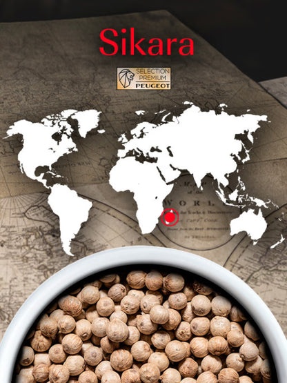 Peugeot White Pepper: Sikara