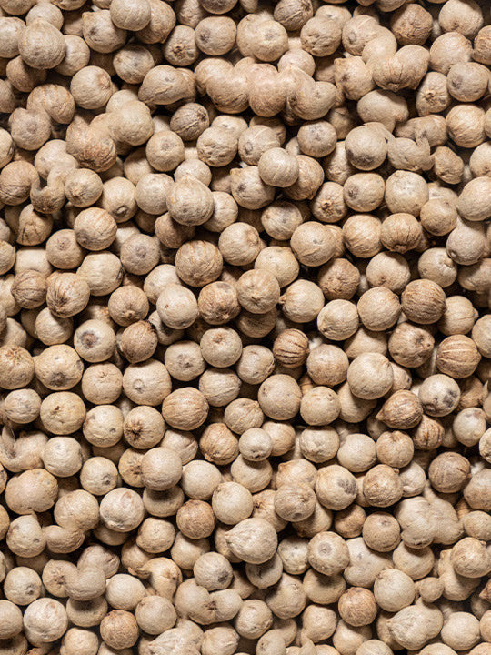 Peugeot White Pepper: Sikara