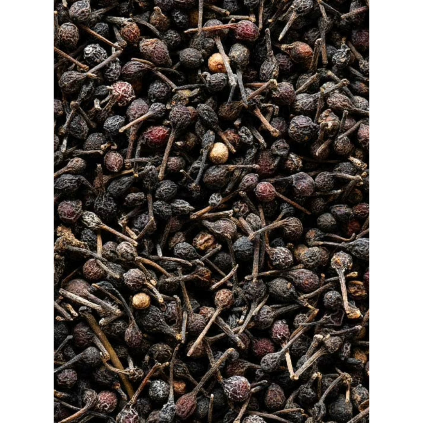 Peugeot Wild Pepper: Voatsiperifery