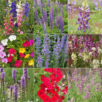 Garden Sprinkles: Hummingbird Mix