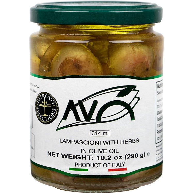 Ritrovo Lampascioni (Wild Onions) in Olive Oil