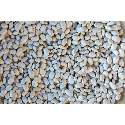 Rancho Gordo Ayocote Blanco Bean