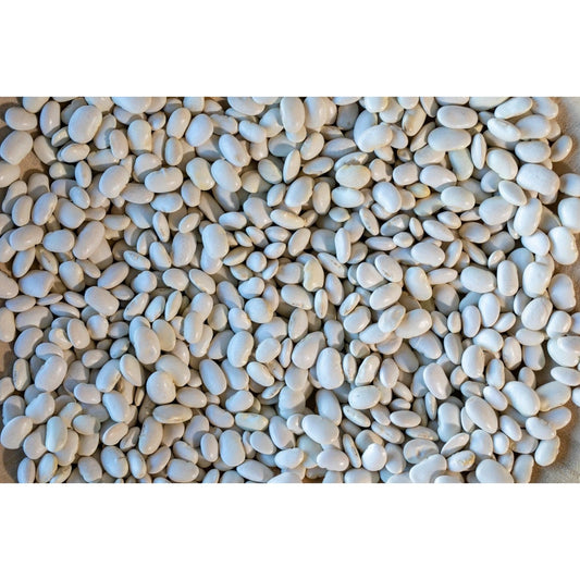 Rancho Gordo Ayocote Blanco Bean